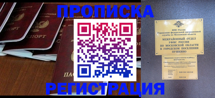 прописка иностранных граждан в Бердске